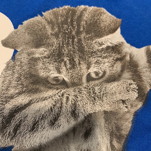 Cobalt Blue T-shirt Like New - Picture 11 of 12